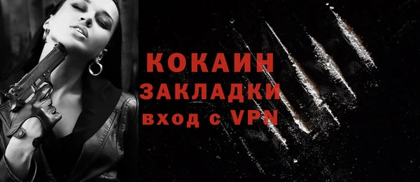 ГАЛЛЮЦИНОГЕННЫЕ ГРИБЫ Вяземский