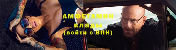 ГАЛЛЮЦИНОГЕННЫЕ ГРИБЫ Вяземский