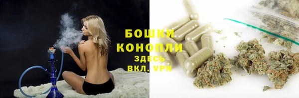 ГАЛЛЮЦИНОГЕННЫЕ ГРИБЫ Вяземский