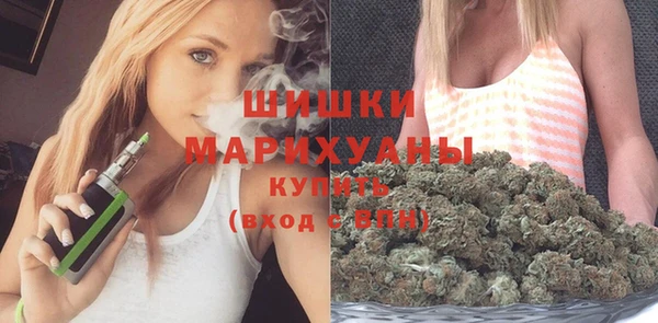ГАЛЛЮЦИНОГЕННЫЕ ГРИБЫ Вяземский