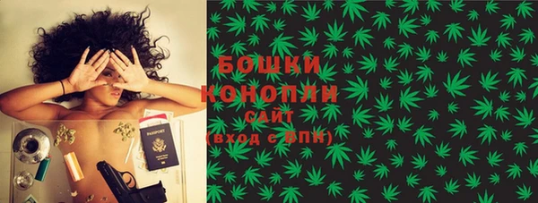 ГАЛЛЮЦИНОГЕННЫЕ ГРИБЫ Вяземский