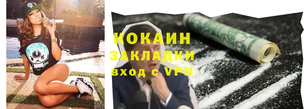 ГАЛЛЮЦИНОГЕННЫЕ ГРИБЫ Вяземский